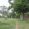 Along the north side of the Angkor Wat Wall Trail.