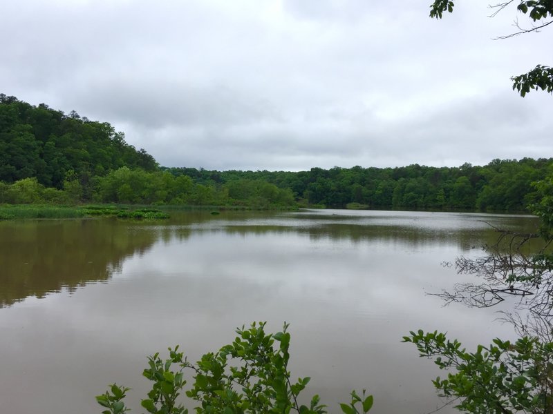 Part of Bull Sluice Lake as seen from the southern loop of the trail system.