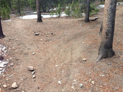 The intersection of Lost Meadows and Hobbit 3.