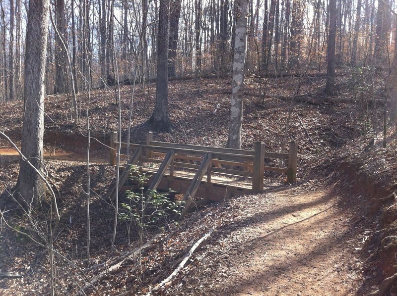 A sturdy bridge aids your passage over this drainage on the Gold Branch Trail.