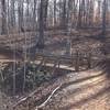 A sturdy bridge aids your passage over this drainage on the Gold Branch Trail.