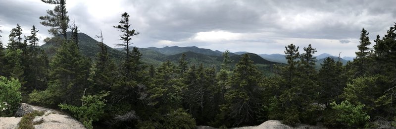 Taking in the views from the UNH Trail.