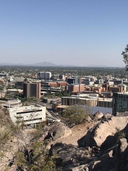 Arizona State University school of Engineering.