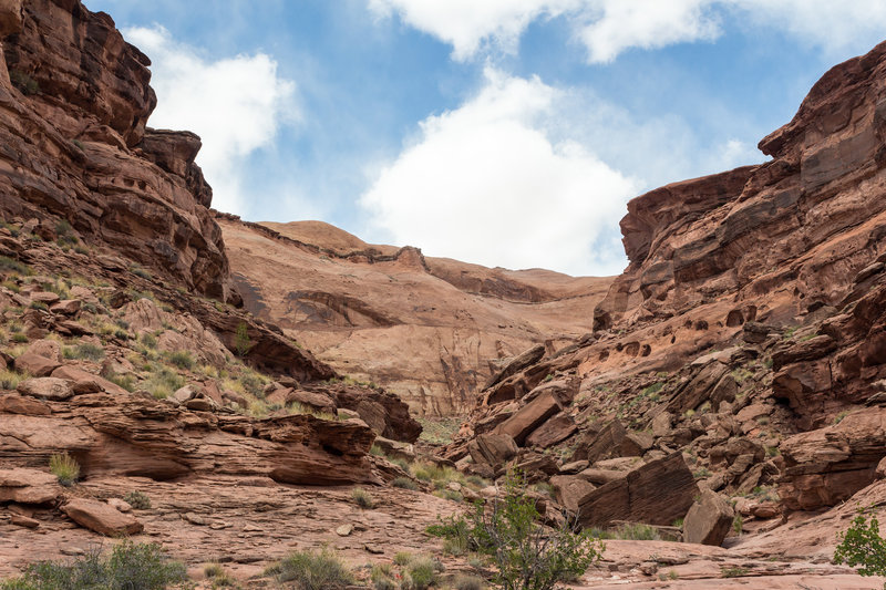 Dramatic rock and sparse vegetation give the Butler Canyon trail all the character of a typical desert canyon.