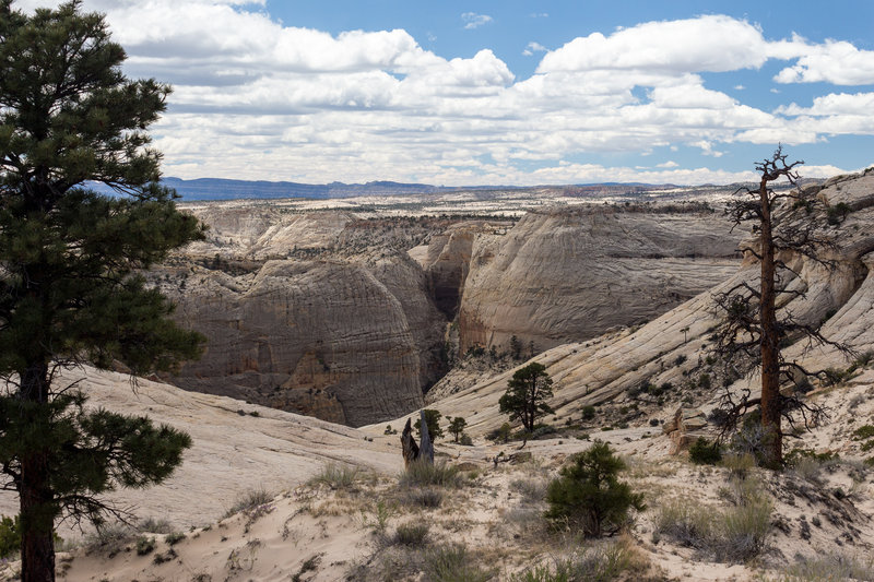 Looking south into Death Hollow from Boulder Mail Trail.