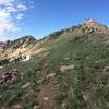 Looking up to the summit of Mt Ogden from the Beus Canyon Trail.