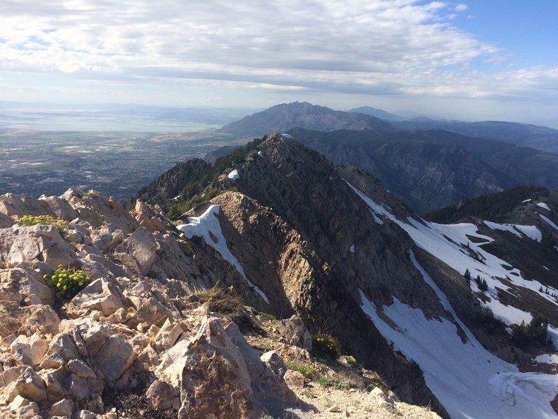 View north from the Mt. Ogden summit.