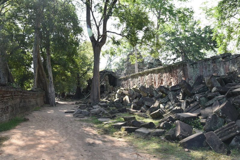 Ta Prohm Trail and surrounding buildings and ruins.