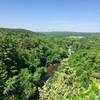 Overlook of what was once Little Falls Lake.