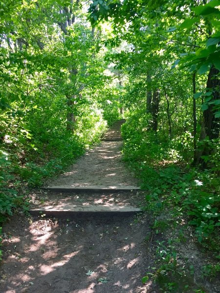 Be prepared for some sections of stairs along the Burkhardt Trail.