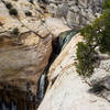 Upper Calf Creek Falls just above the alcove.