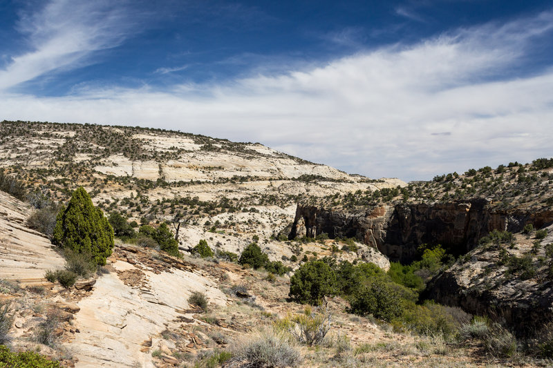 Looking downstream at Calf Creek Canyon.