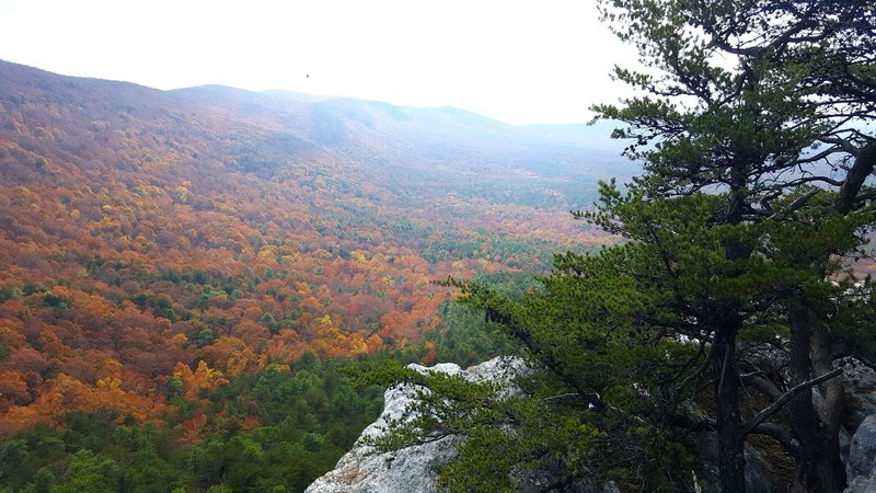 View from McDill Point in the heart of Fall when the leaves are changing.