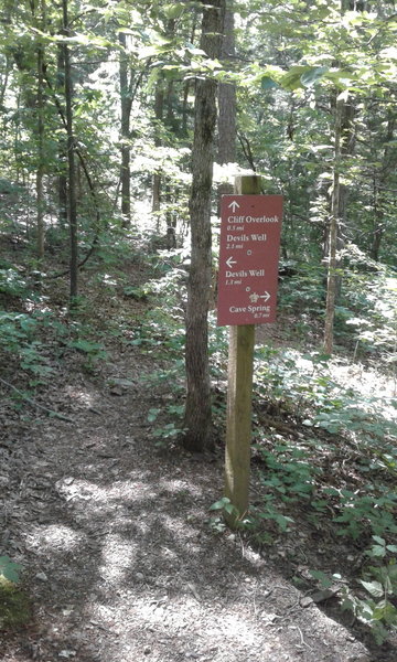 At this sign, turn right (SW) for the side trail to Cave Spring. It's well worth the 0.7 miles out.