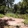 The Current River runs alongside the Cave Spring Trail.