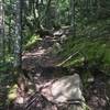 A steep and rough section of the Peekamoose-TAble Trail near Table Mountain.