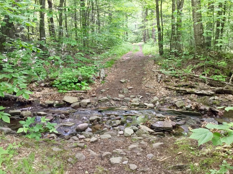 In days gone by, this old carriage road was the route that connected Phoenicia to Clarryville.