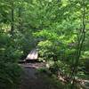 A wooden bridge spans a small creek along the west segment of the Phoenicia East Branch Trail.