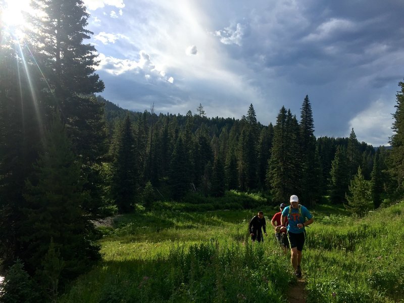 Most of this gorgeous trail is runable.