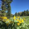 Toward the start of the day, enjoy beautiful views before you start heading close to the creek.