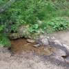 A small creek or seep near the junction of Spring Creek Trail and Mid-Columbine Trail.