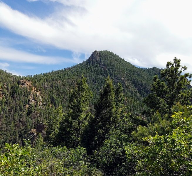 View of Mt. Cutler looking South from Mid-Columbine Trail.