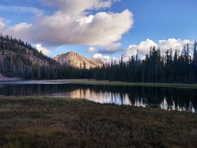 Brinkley Lake - Just off Highline Trail