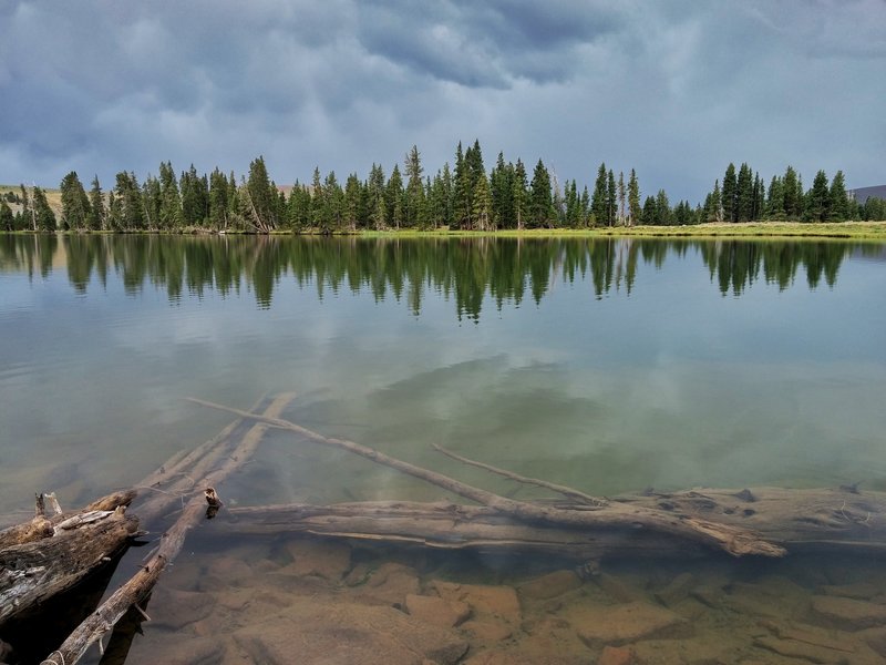 A sunken log lurks beneath the surface of Deadman Lake.