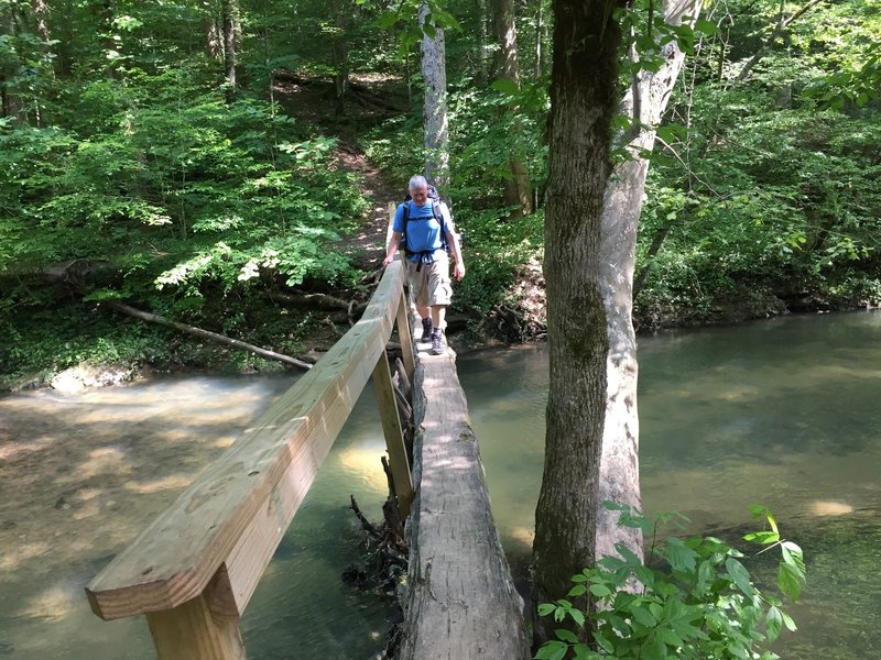 A fun log bridge over Hurricane Creek.