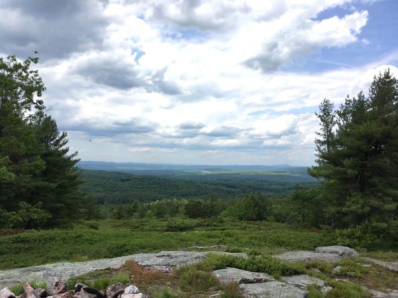 This is the northern view from the summit of Neville Peak.