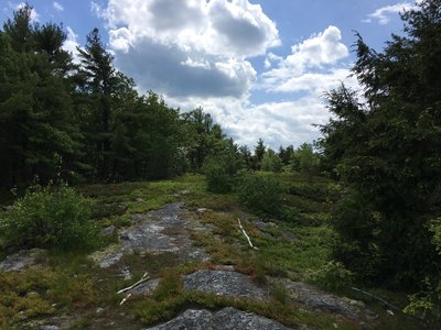Anticipation builds as you approach the summit of Neville Peak.