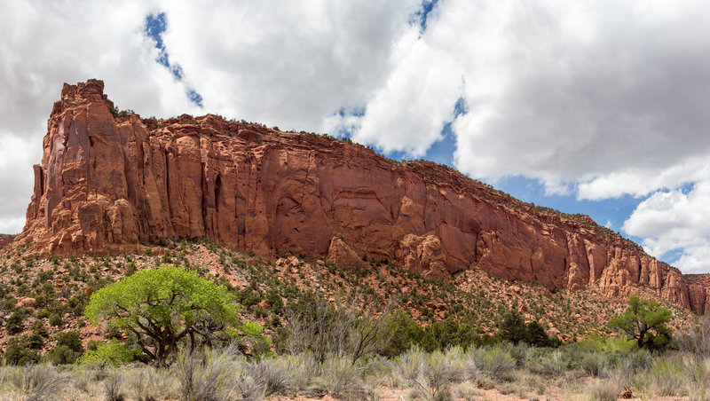 The Gulch at the confluence with a major side canyon.