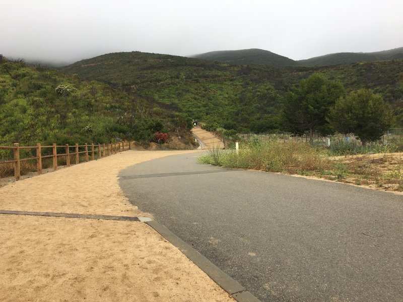 About half-way up. Note at the end of the fence, there is a singletrack options.  Just watch out for mountain bikers if you go that way.