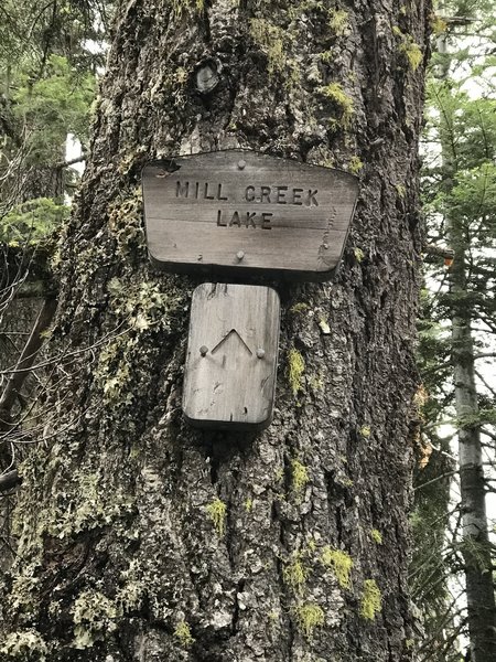 Look for the Mill Creek Lake turnoff sign nailed to this tree.