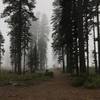 Mill Creek Trailhead hides in the early morning fog.