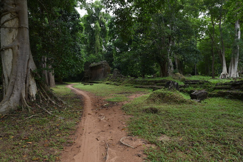 Ruins and large trees make for a beautiful setting on the Preah Khan Trail.