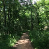 Following the smooth trail to Hidden Lake.