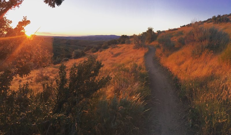 Sunset on the Doe Ridge Trail