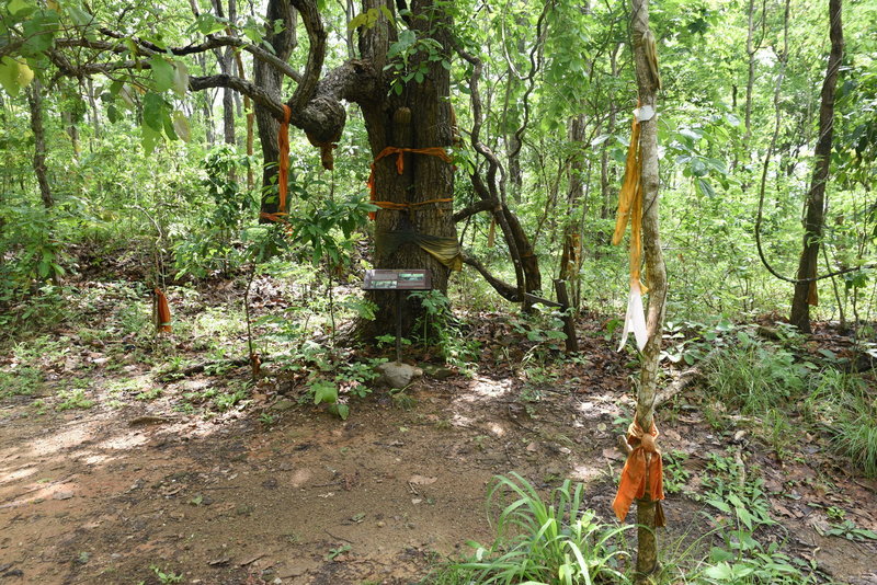 Monk's robes can be found tied to treees along the trail.