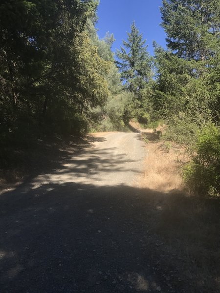 Surprise Creek follows the South Fork Trinity River.