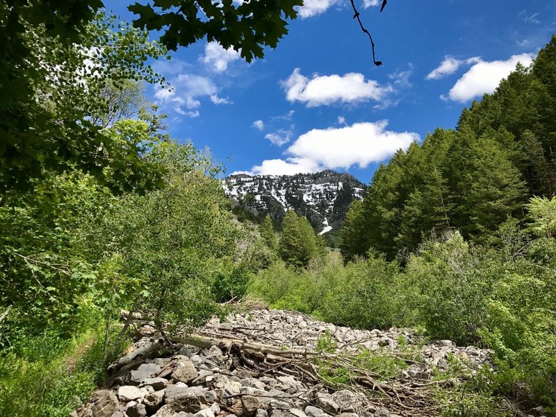 Enjoy plenty of great views of Cherry Peak along the trail.