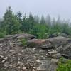 Fog looms over the Phoenicia East Branch Trail.