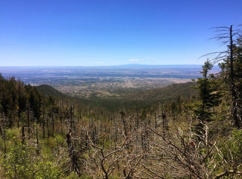 The Pino Trail offers great overlooks of Albuquerque.