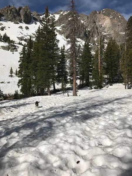 This is looking up at the east thorn above Salmon Lake.