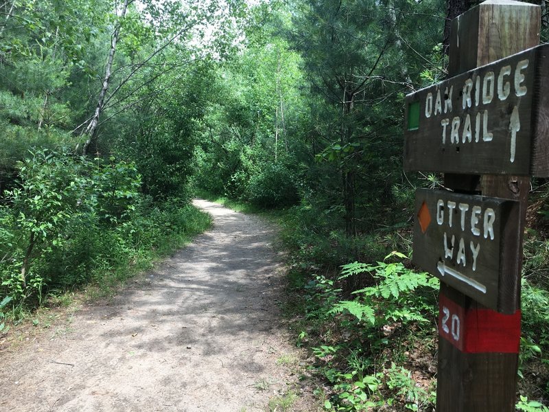 This Otter Way trailhead is well marked by a painted sign.