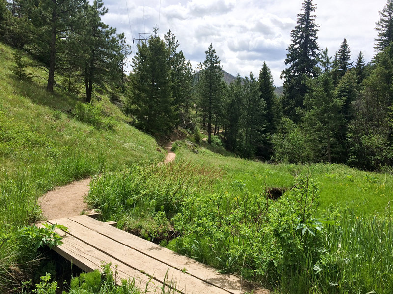 A sturdy plank bridge aids your passage over Bear Creek.