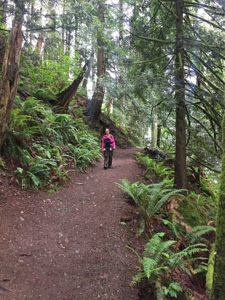 Our group heads back down on the nice wide Twin Falls Trail.