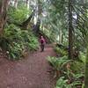 Our group heads back down on the nice wide Twin Falls Trail.