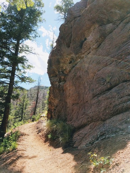 This is a rock wall on Muscoco Trail shortly after the junction of Muscoco and Mount Cutler Trail.