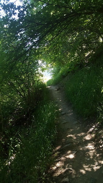 The Wind Caves Trail is beautiful in late spring.